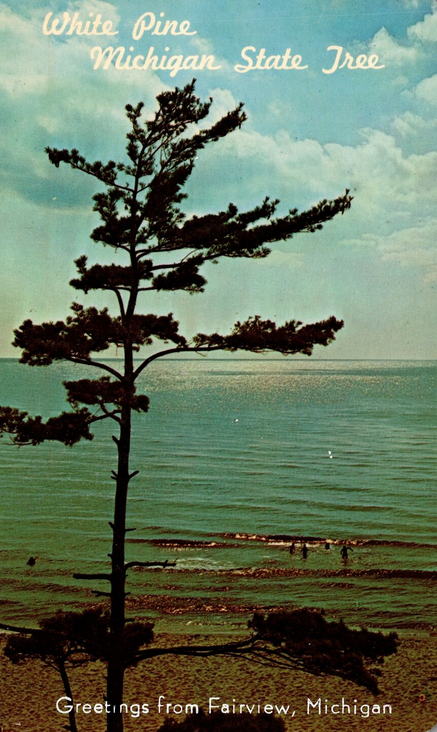 Fairview - Old Postcard (newer photo)